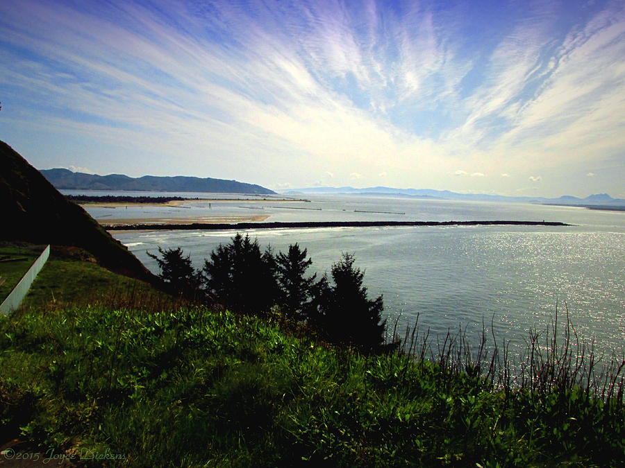 Cape Disappointment Looking South Photograph by Joyce Dickens