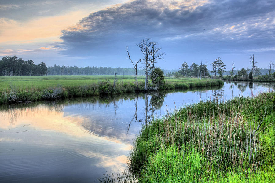 Cape Fear Morning Photograph by JC Findley