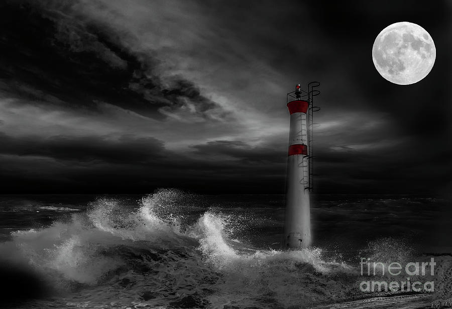 Cape Fear by Nancy Dempsey Cape Fear by Nancy Dempsey