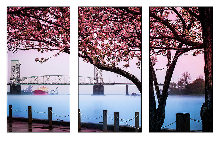 Bridge Photograph - Cape Fear River Bridge Triptych by Karen Wiles
