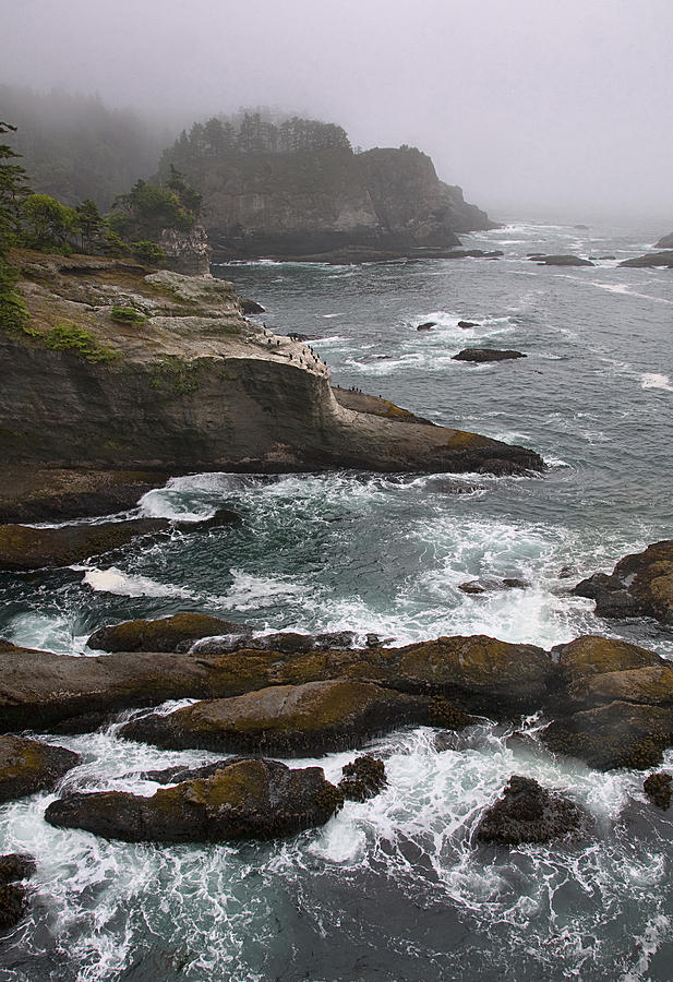 Cape Flattery in the Mist Photograph by Mitch Spence