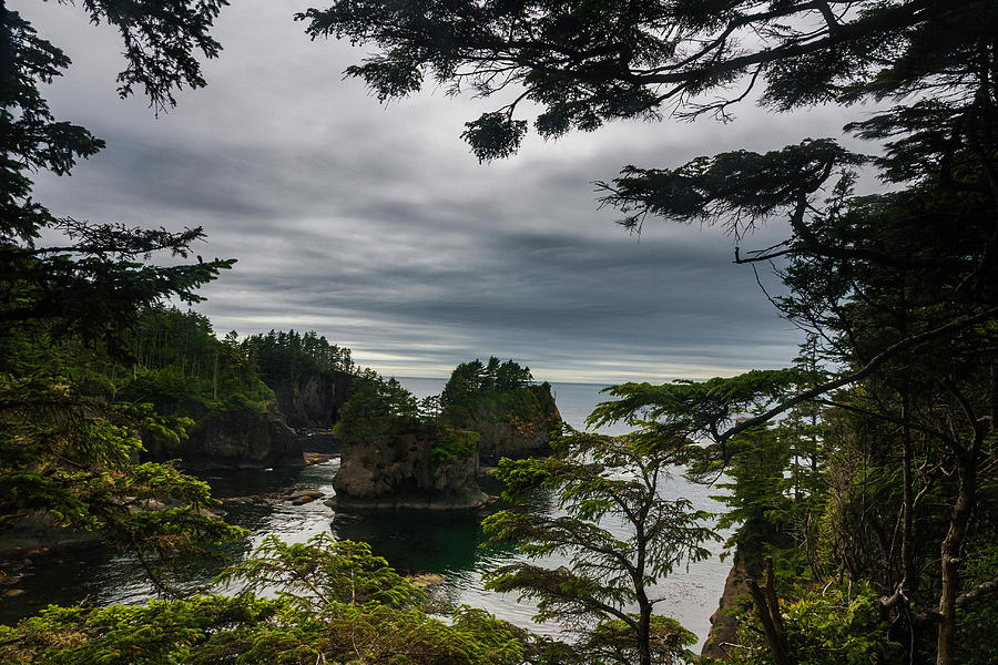 Cape Flattery View Point Photograph by Scott Cunningham