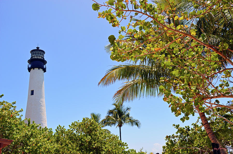 Cape Florida Light In The Trees Photograph by Ken Figurski