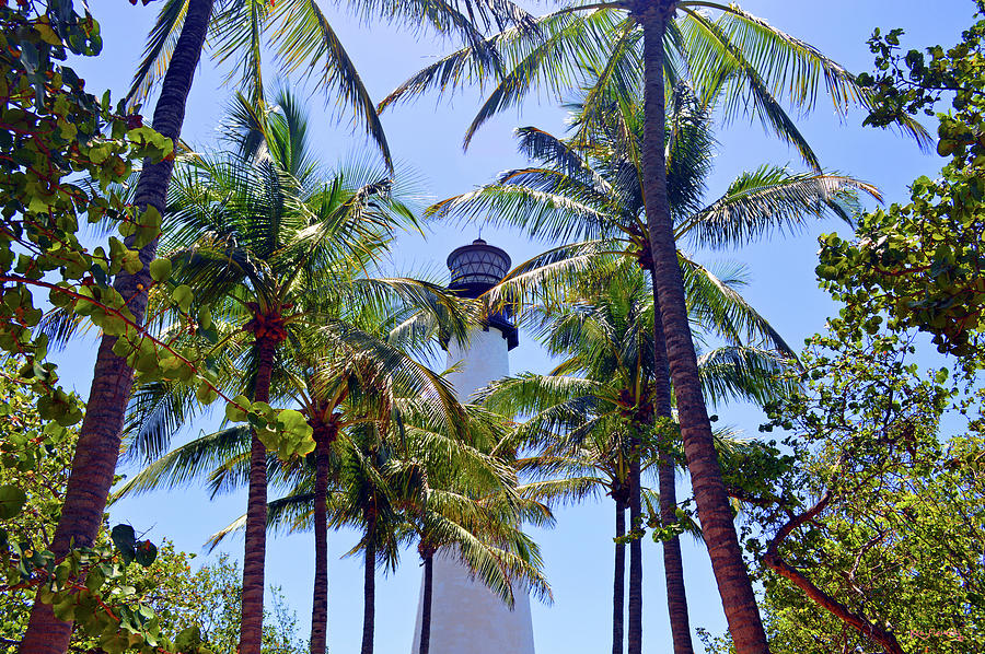 Cape Florida Light Through The Palm Trees Photograph by Ken Figurski