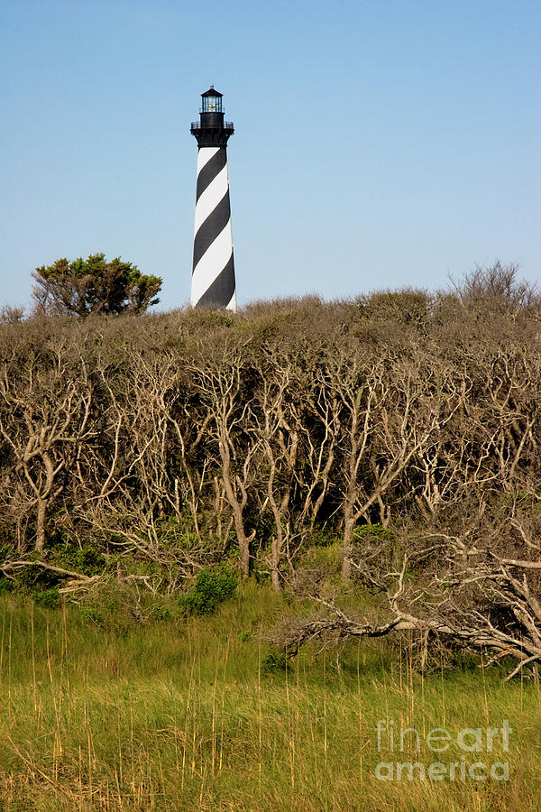 Cape Hatteras in the Outer Banks Photograph by Jill Lang