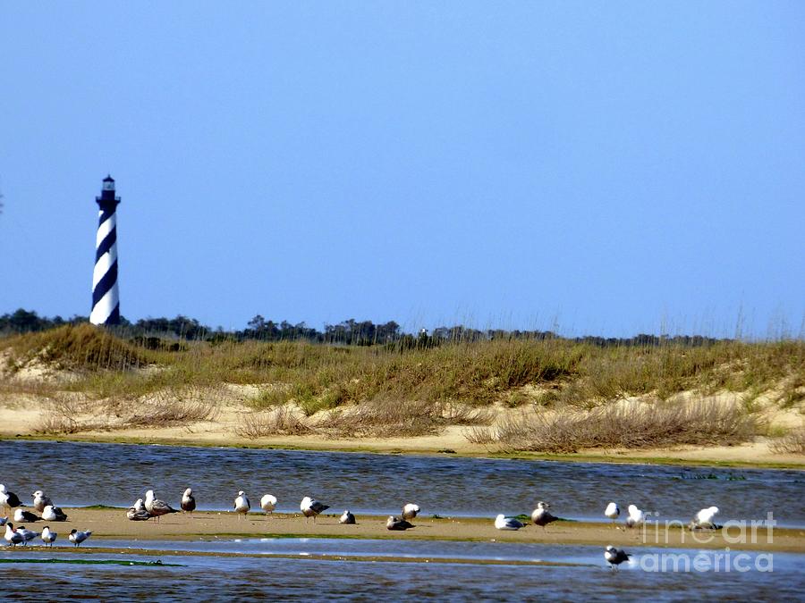 Cape Hatteras Photograph by Jean Wright