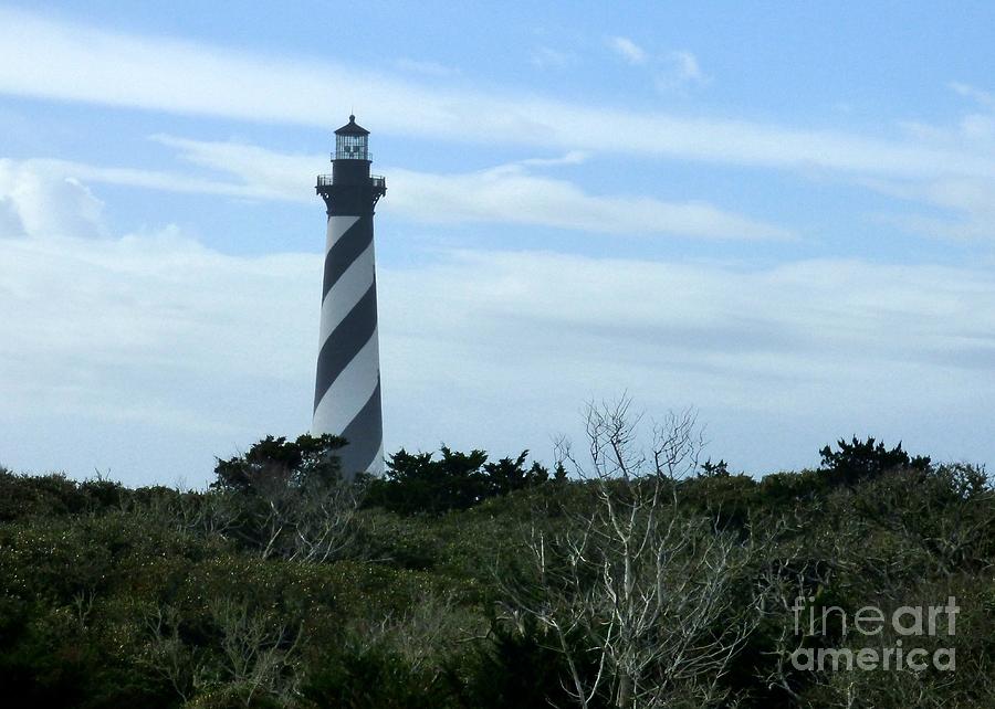 Cape Hatteras Light Maritime Forest Photograph by Jean Wright