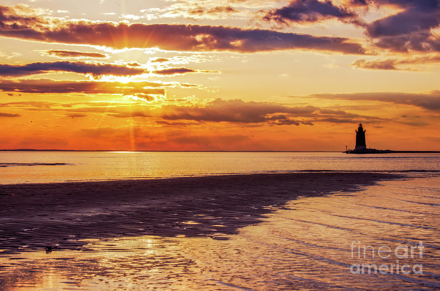 Cape Henlopen at Sunset Coastal Landscape Photo Photograph by PIPA Fine Art - Simply Solid