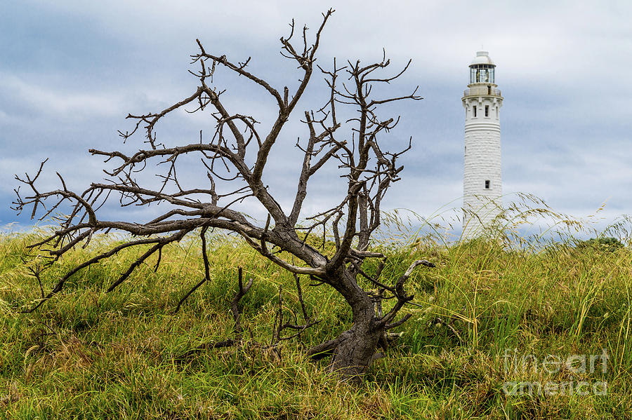 Cape Leeuwin Lighthouse 1 Photograph by Werner Padarin
