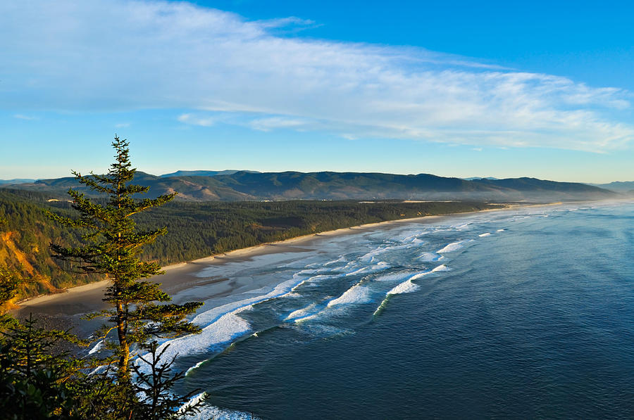 Cape Lookout State Park on the Oregon Coast Photograph by James Little