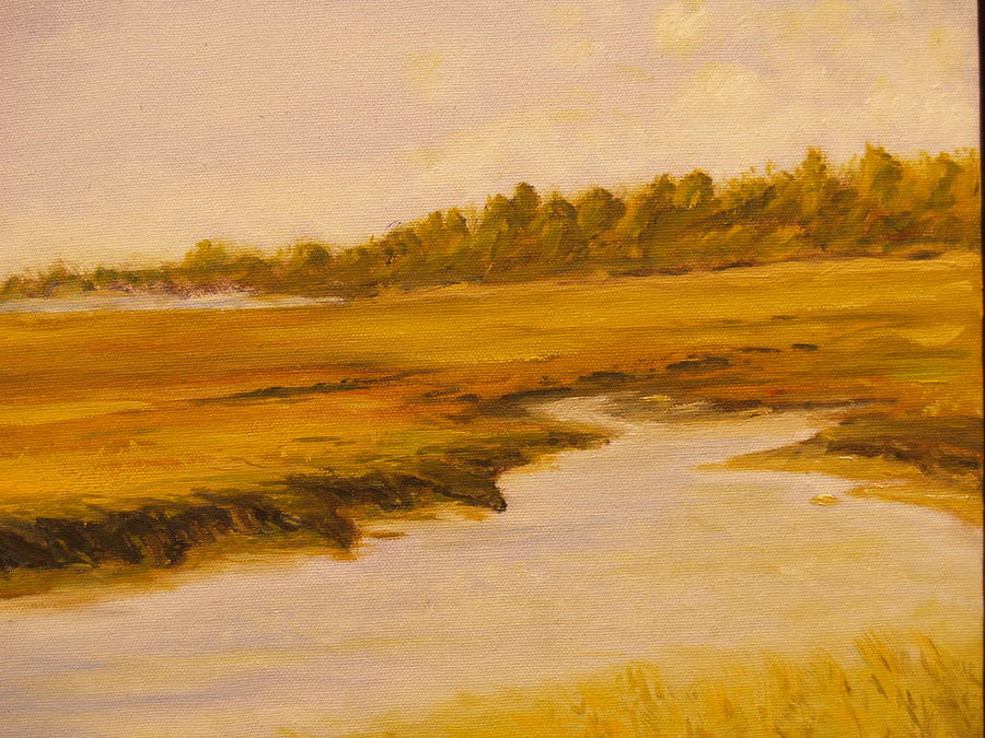 Cape Marsh Painting by Paul Galante | Fine Art America