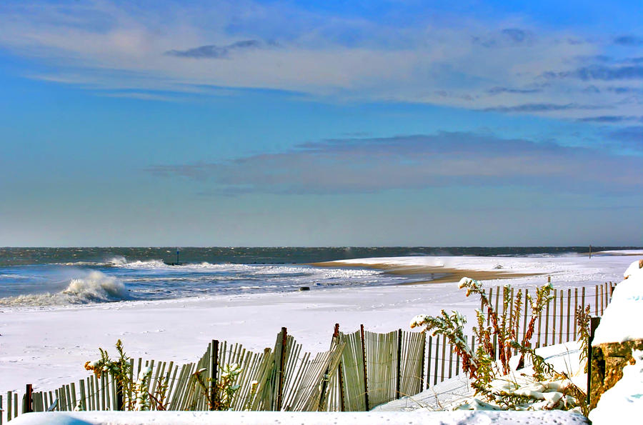 Cape May Beach in Winter Photograph by John A Megaw