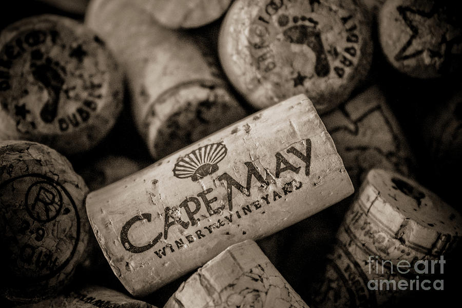 Cork Photograph - Cape May Corks by Colleen Kammerer