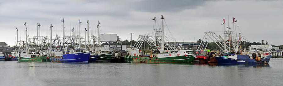 Cape May Fishing Trawlers Photograph by Dan Myers