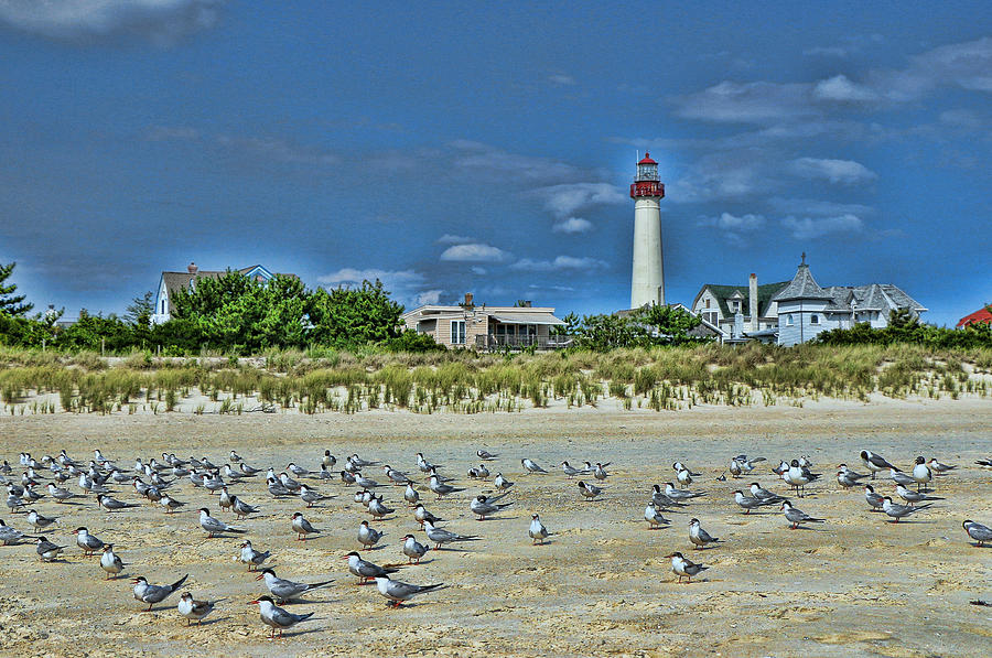 Cape May Lighthouse 2 Photograph by Allen Beatty