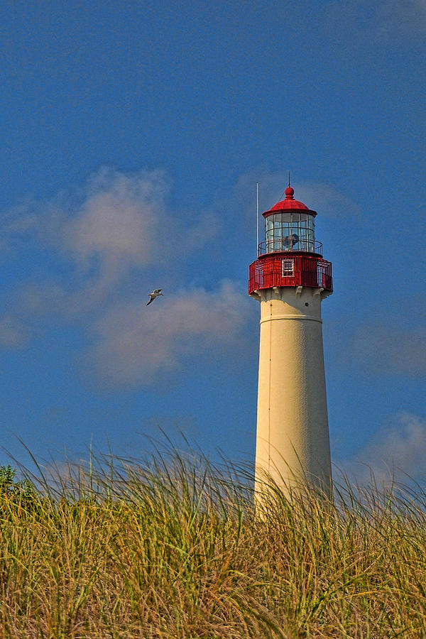 Cape May Lighthouse Photograph by Allen Beatty