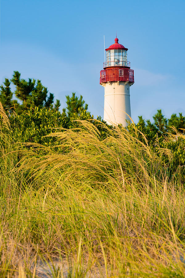 Cape May Lighthouse and the Grass Photograph by Mark Rogers