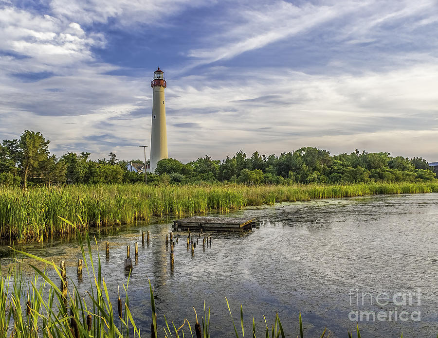 Cape May Lighthouse from the pond Photograph by Nick Zelinsky Jr