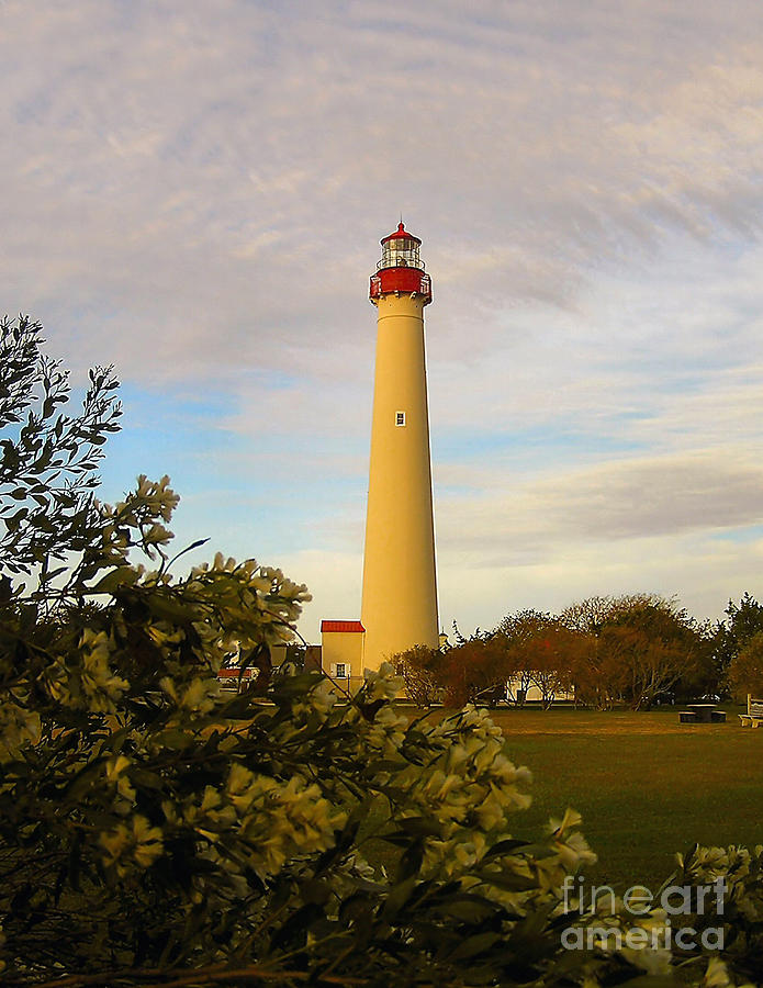 Cape May Lighthouse in Spring Photograph by Nick Zelinsky Jr