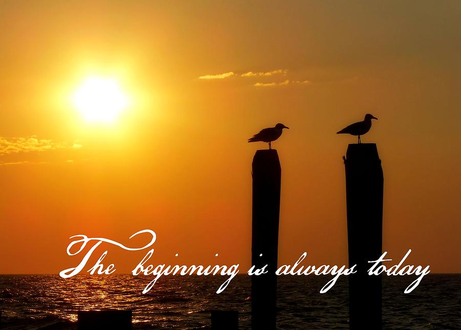 Seagull Photograph - CAPE MAY MORNING quote by JAMART Photography