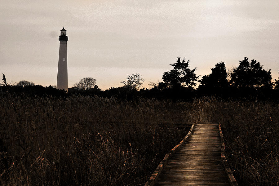 Cape May NJ Lighthouse Photograph by Kelly Johnson