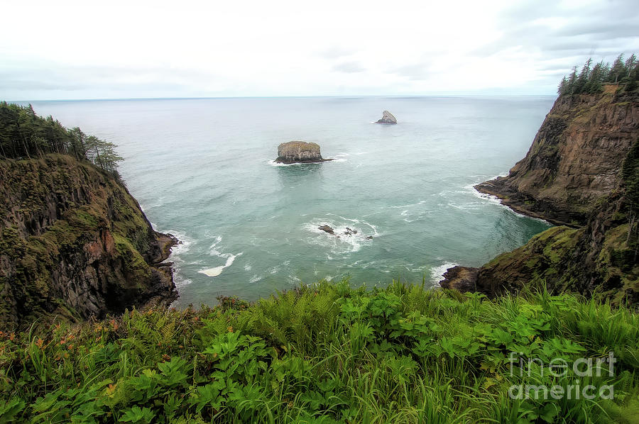 Cape Meares, Oregon Scenic View Photograph By Mike Nellums   Fine Art