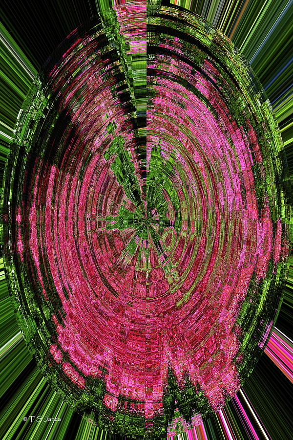 Crepe Myrtle Oval Abstract Digital Art by Tom Janca