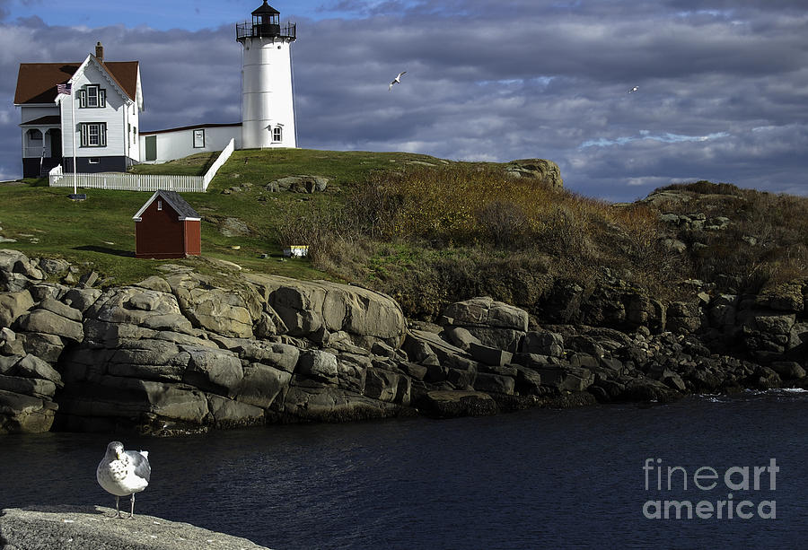Cape Neddick Lighthouse Photograph by Mim White