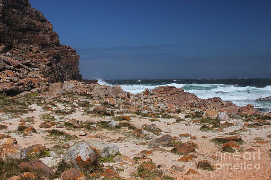 Cape of Good Hope Photograph by Bev Conover