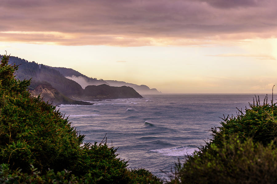 Cape Perpetua, Oregon coast Photograph by Bryan Xavier Cape Perpetua, Oregon coast Photograph by Bryan Xavier