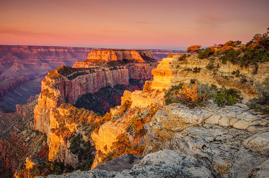 Grand Canyon National Park Photograph - Cape Royal Sunrise Grand Canyon by Scott McGuire