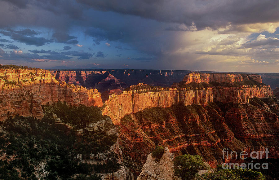 Cape Royal Sunset North Rim Grand Canyon Np Arizona Photograph by Dave ...