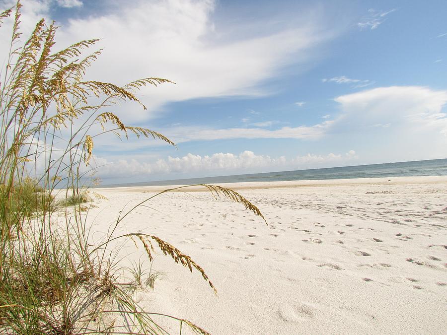 Cape San Blas Beach Photograph by Ian Sands | Fine Art America