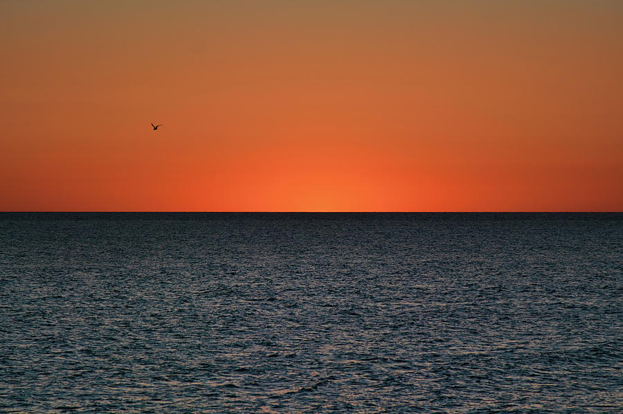Cape San Blas Sunset Photograph by Jai Johnson