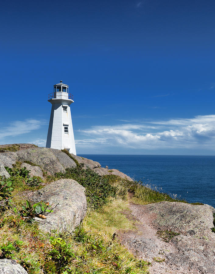 Cape Spear Lighthouse Vrt Photograph by Steve Hurt