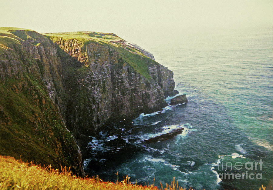 Cape St. Marys Ecological Reserve Photograph by Lydia Holly