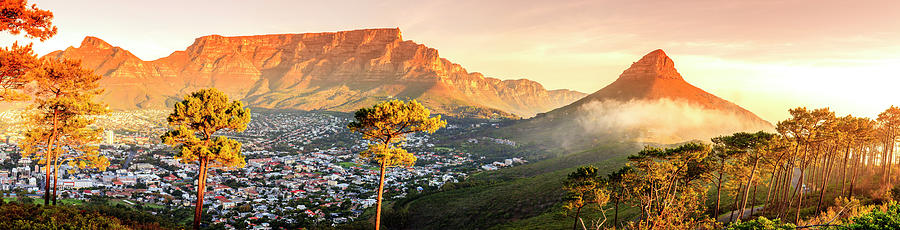 Cape Town, South Africa Photograph by Alexey Stiop