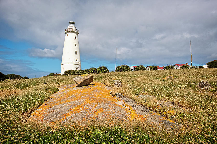 Cape Willoughby Lighthouse and Cottages Photograph by Catherine Reading