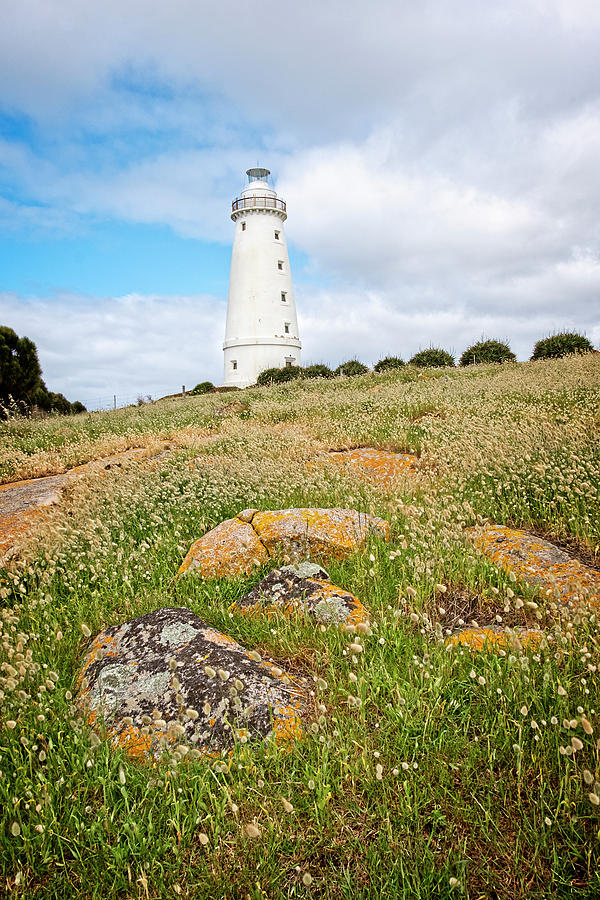 Cape Willoughby Lighthouse Photograph by Catherine Reading