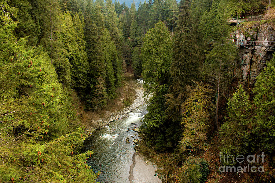 Capilano River Photograph by Ivete Basso Photography
