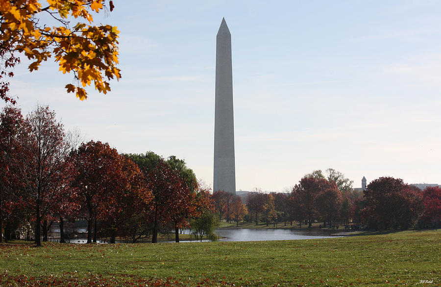 Capital Autumns - The Washington Monument - under the Trees Photograph by Ronald Reid