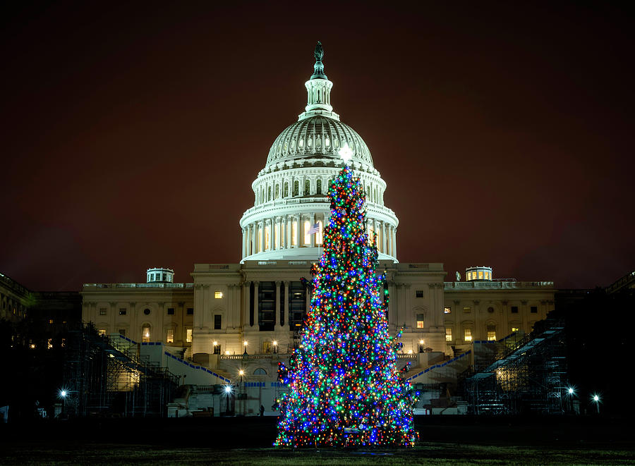 Capital Christmas Tree Photograph by Ryan Wyckoff