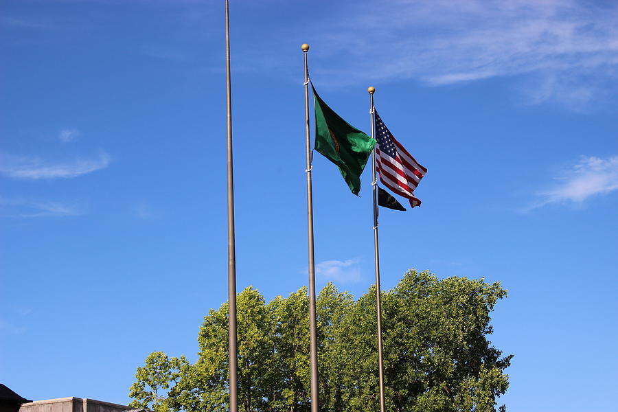 Flag Photograph - Capital Hill Olympia Washington Flags by Zachary Lowery