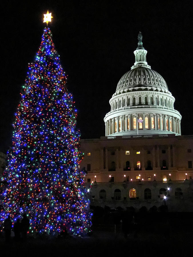 Capitol Christmas Photograph by Julie Niemela