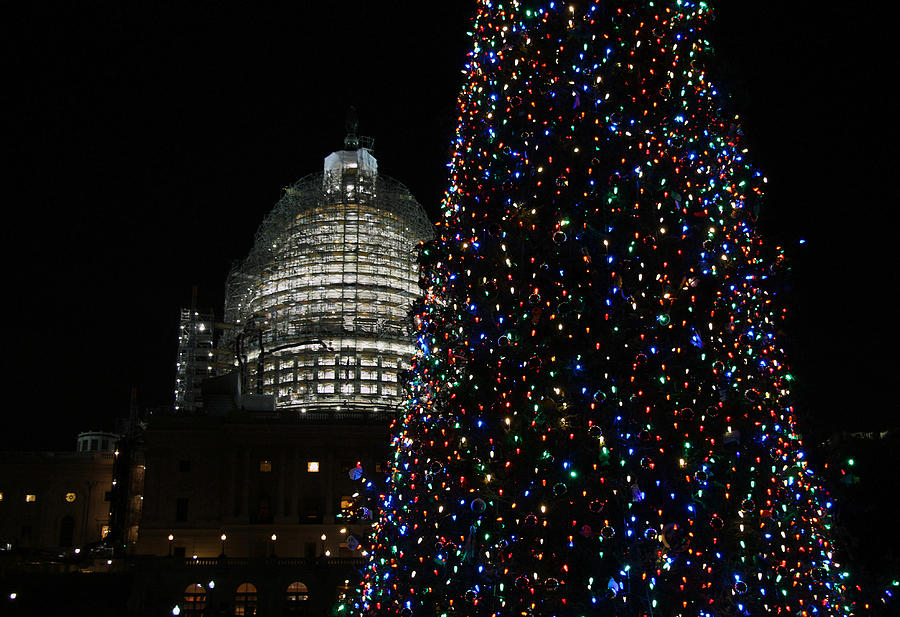 Capitol Dome In Scaffolding With Partial Christmas Tree Photograph by Cora Wandel