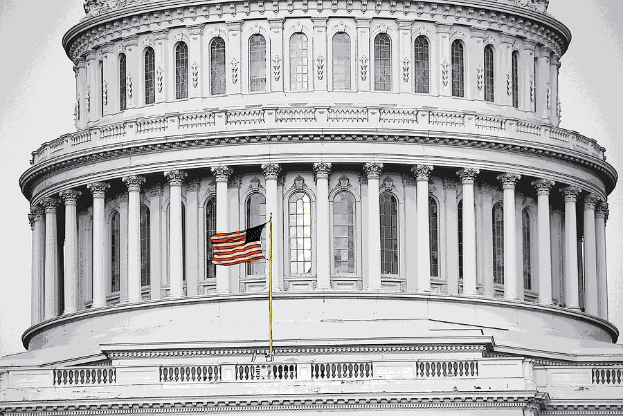 Capitol Flag Photograph by John Schneider