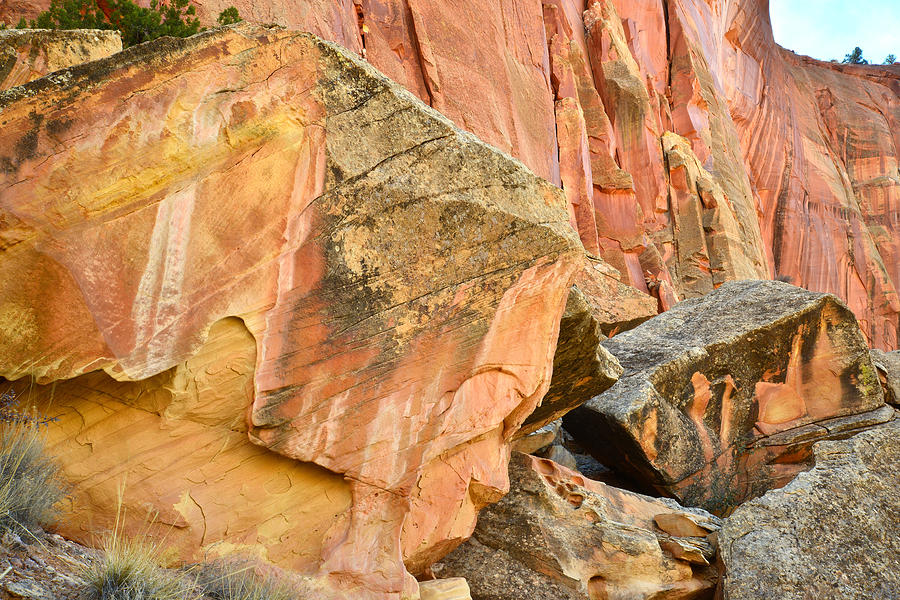 Capitol Gorge Rock Art Photograph by Ray Mathis