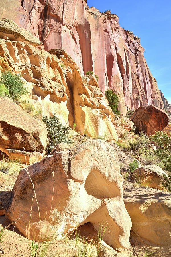 Capitol Reef National Park Photograph - Capitol Gorge Scenic Wall by Ray Mathis