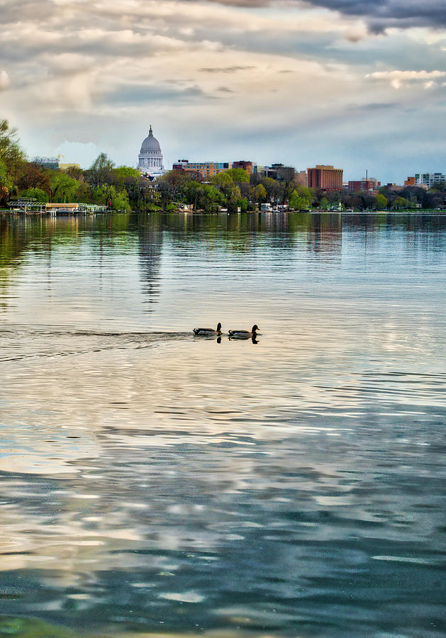 Madison Photograph - Capitol -Madison-Wisconsin from Tenney Park by Steven Ralser