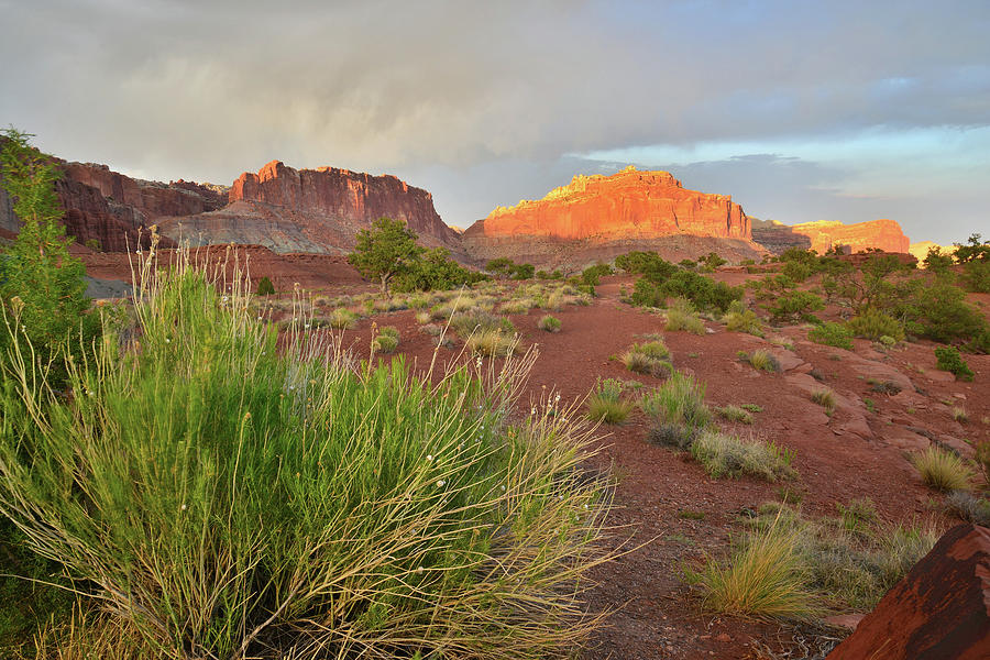 Capitol Reef Aglow at Sunset Photograph by Ray Mathis